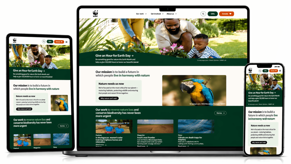 wwf website development case study
